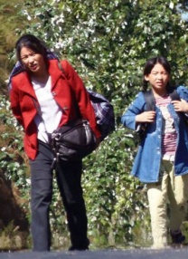 草 社区